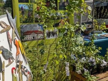 Relacja zdjęciowa z Rodzinnego Pikniku w Dąbrówce Dużej (4), 